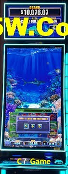 Roulette Table C7 Game